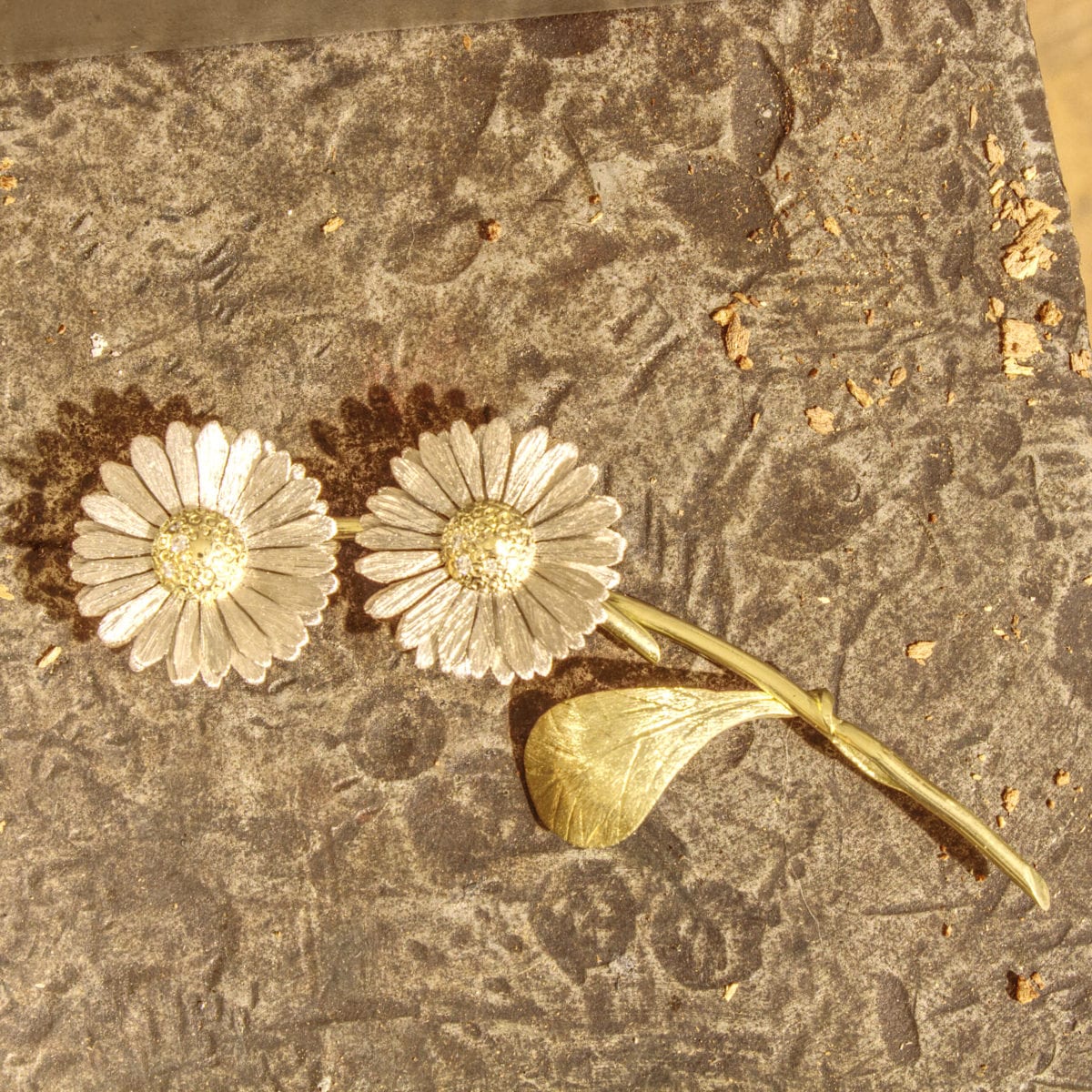 Gänseblümchen – Bild 26