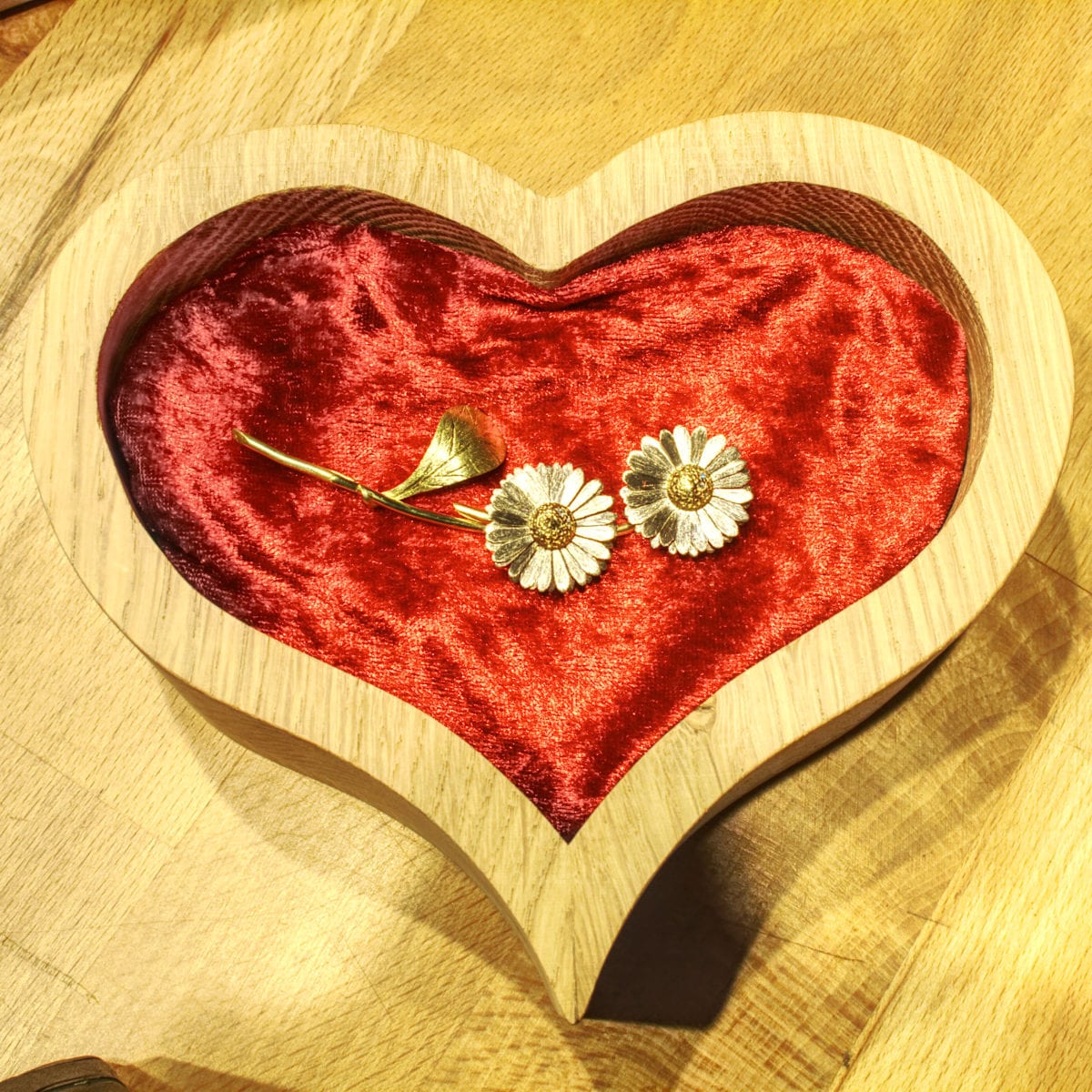 Gänseblümchen – Bild 24