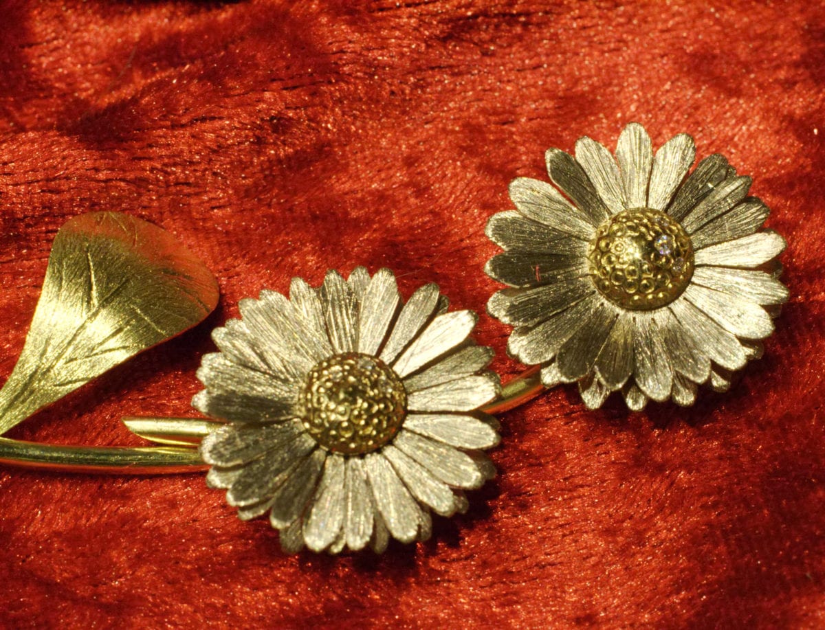 Gänseblümchen – Bild 22