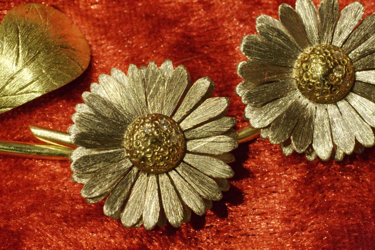 Gänseblümchen – Bild 21