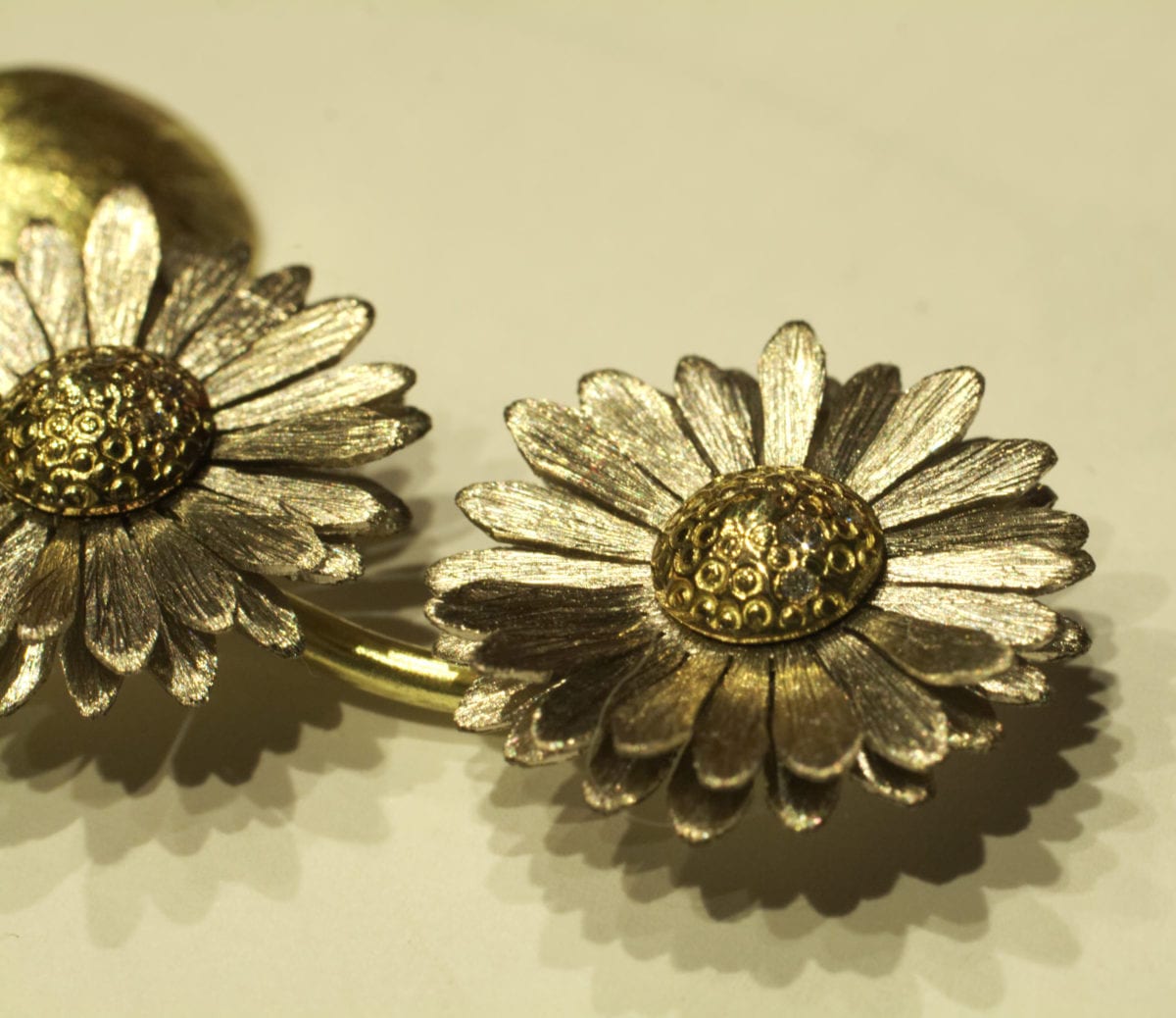 Gänseblümchen – Bild 20