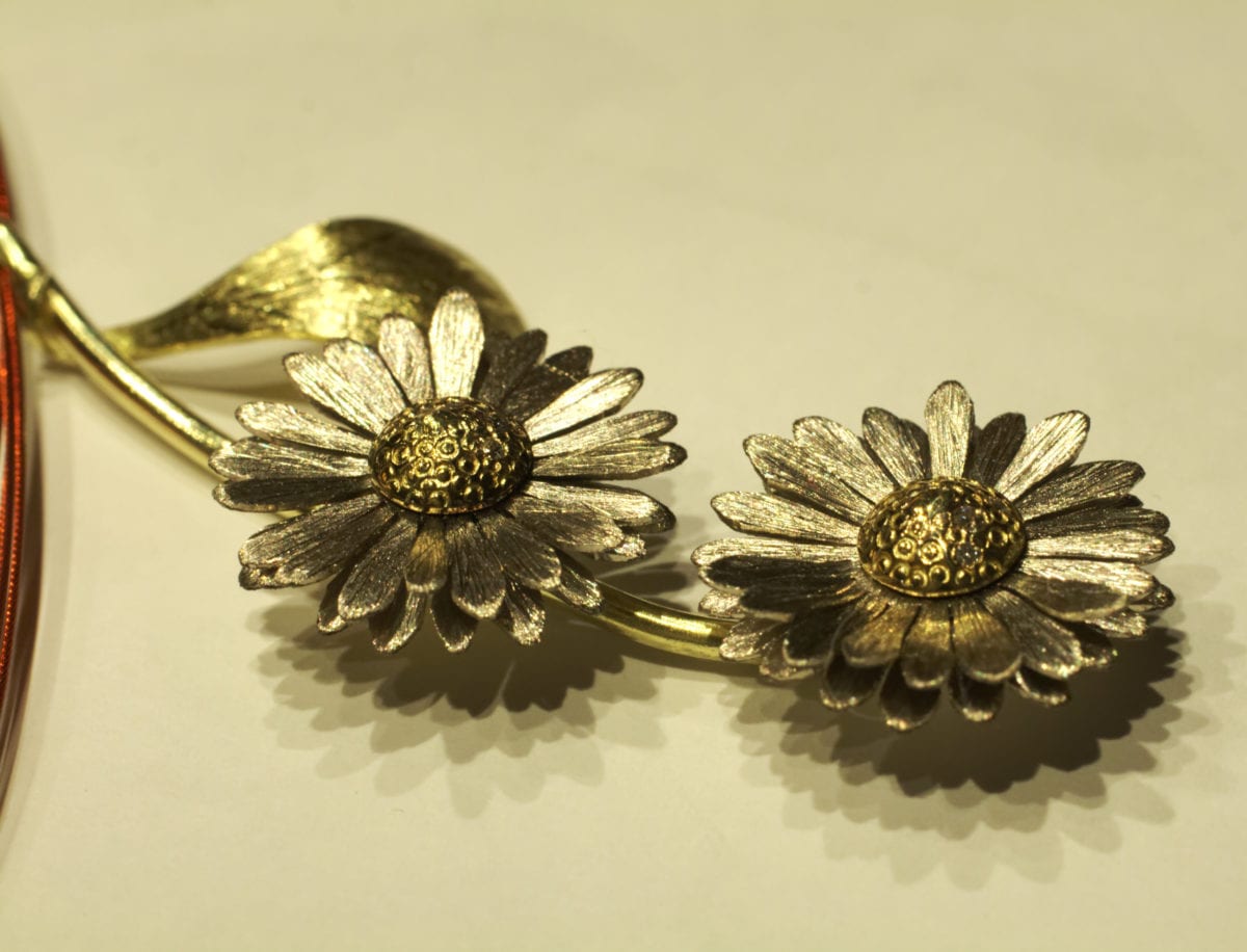 Gänseblümchen – Bild 19