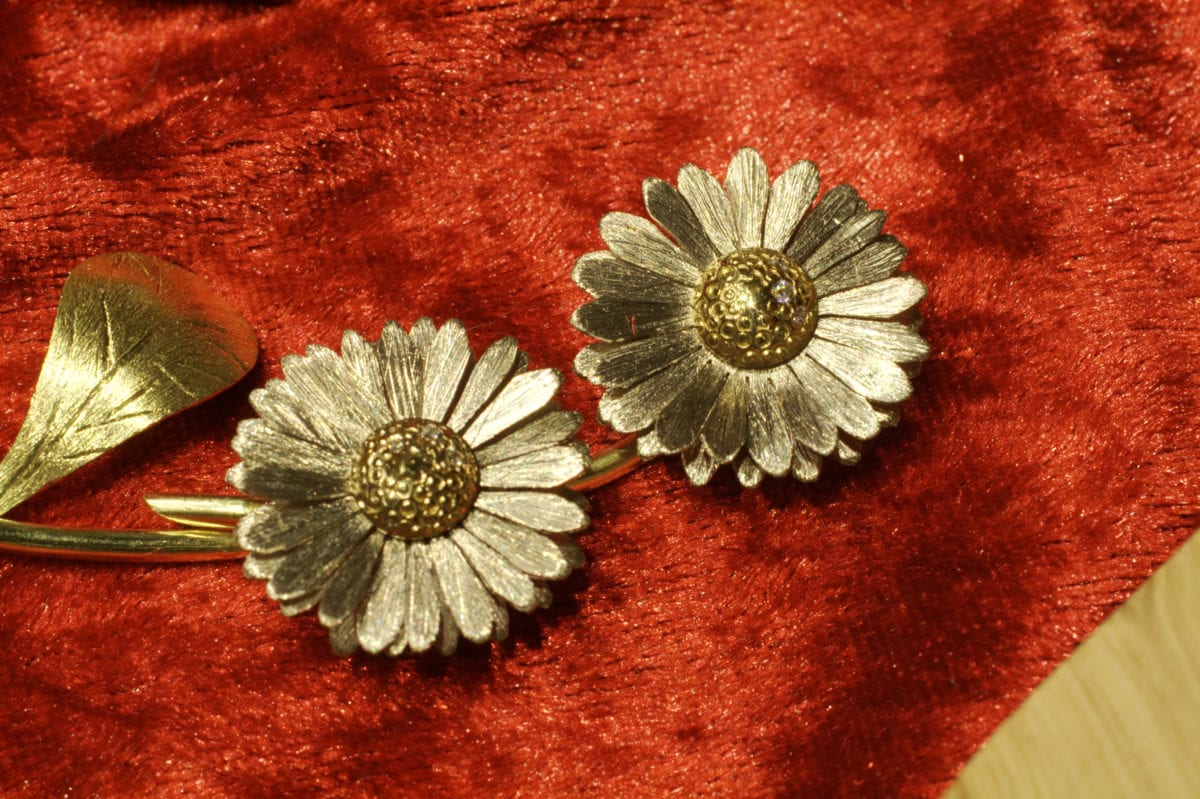 Gänseblümchen – Bild 17