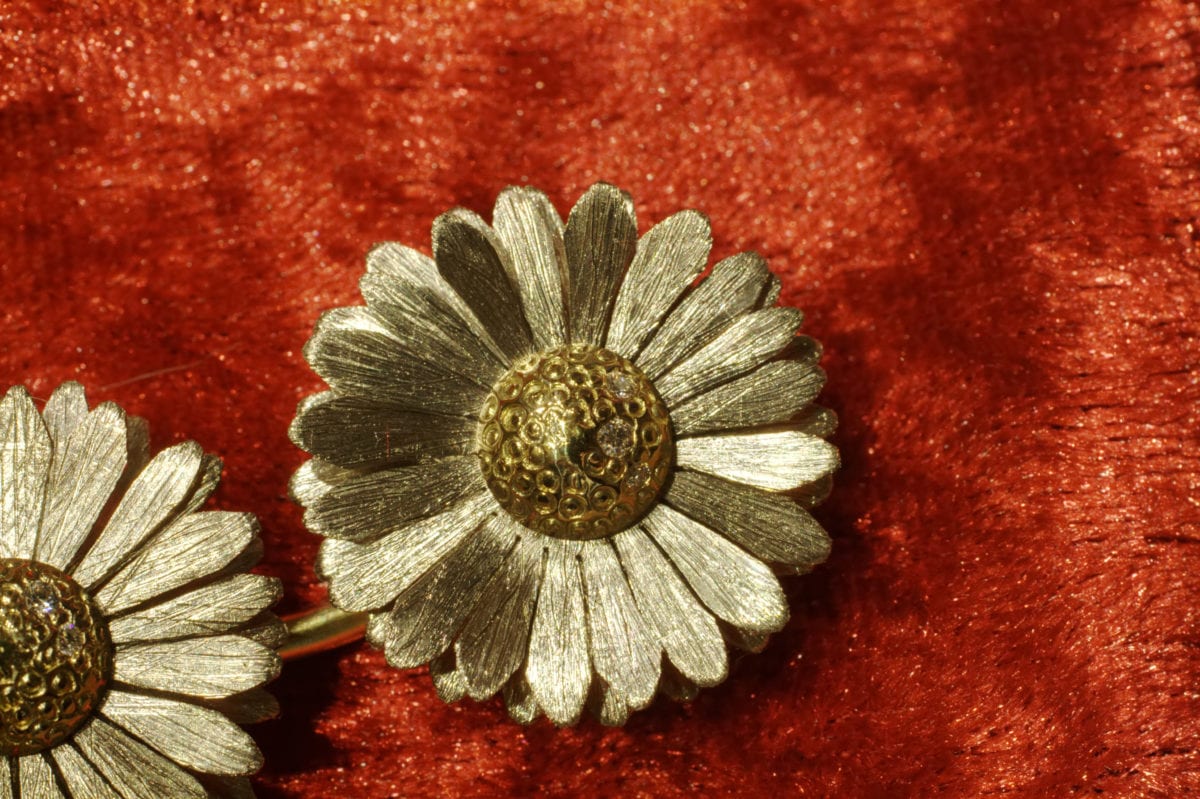 Gänseblümchen – Bild 16