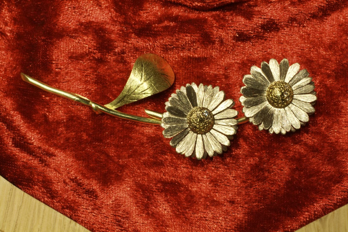 Gänseblümchen – Bild 15