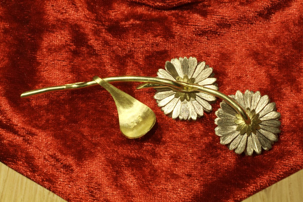 Gänseblümchen – Bild 14