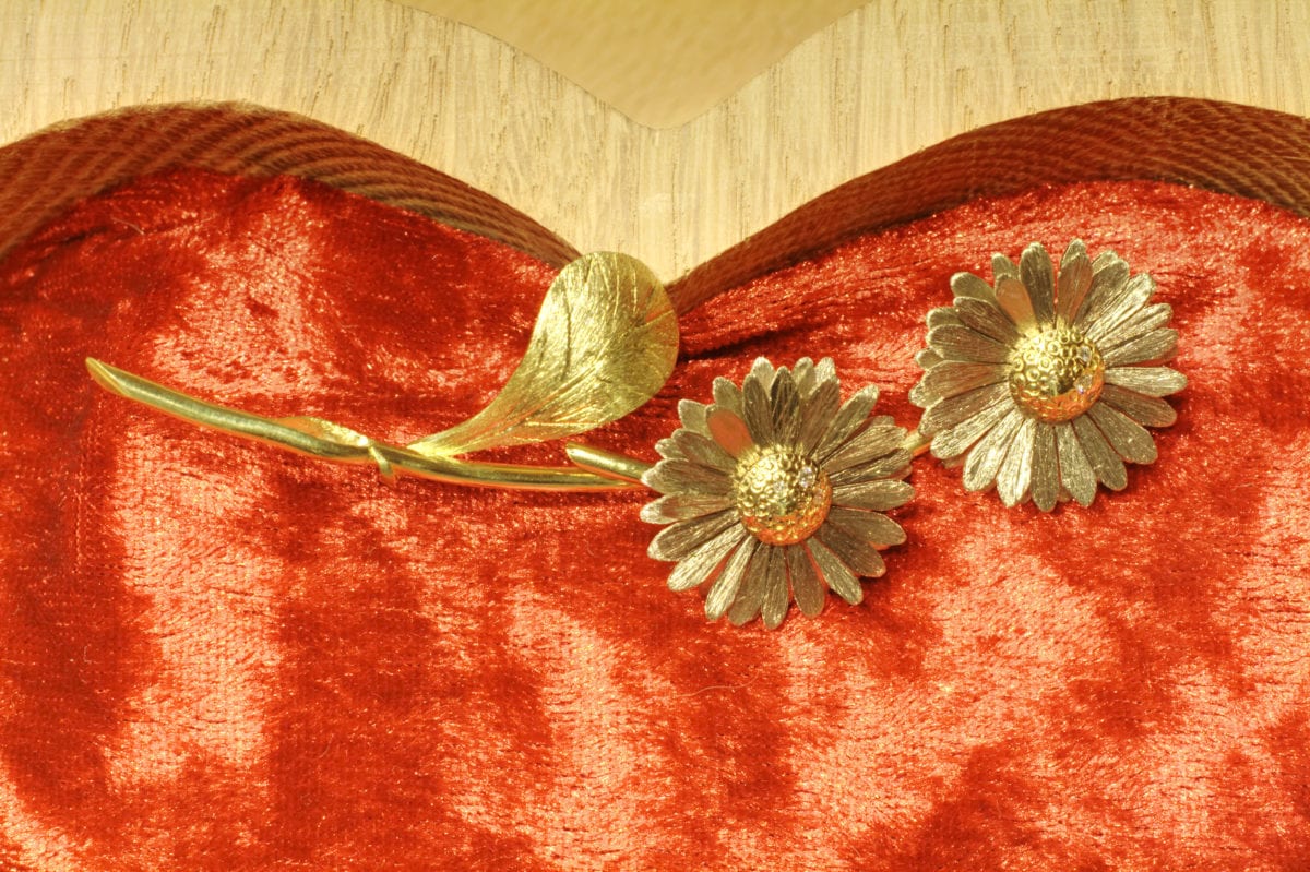 Gänseblümchen – Bild 13