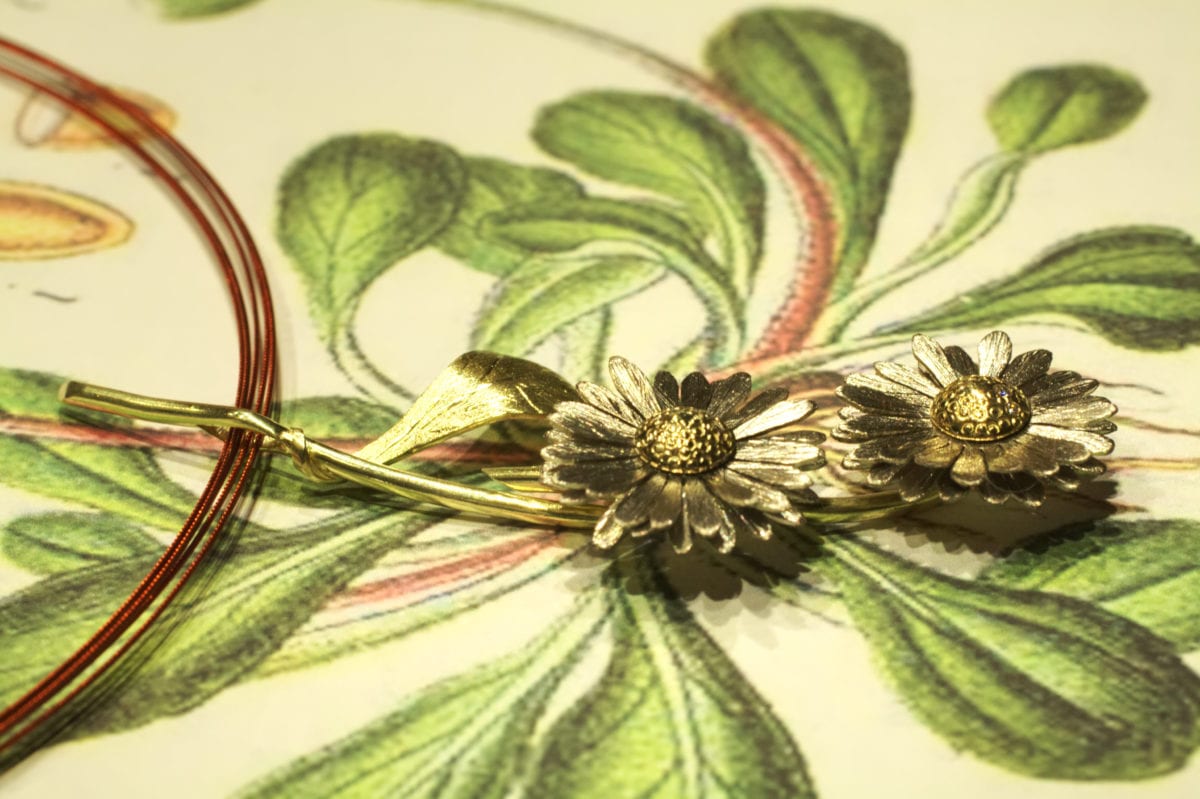 Gänseblümchen – Bild 10