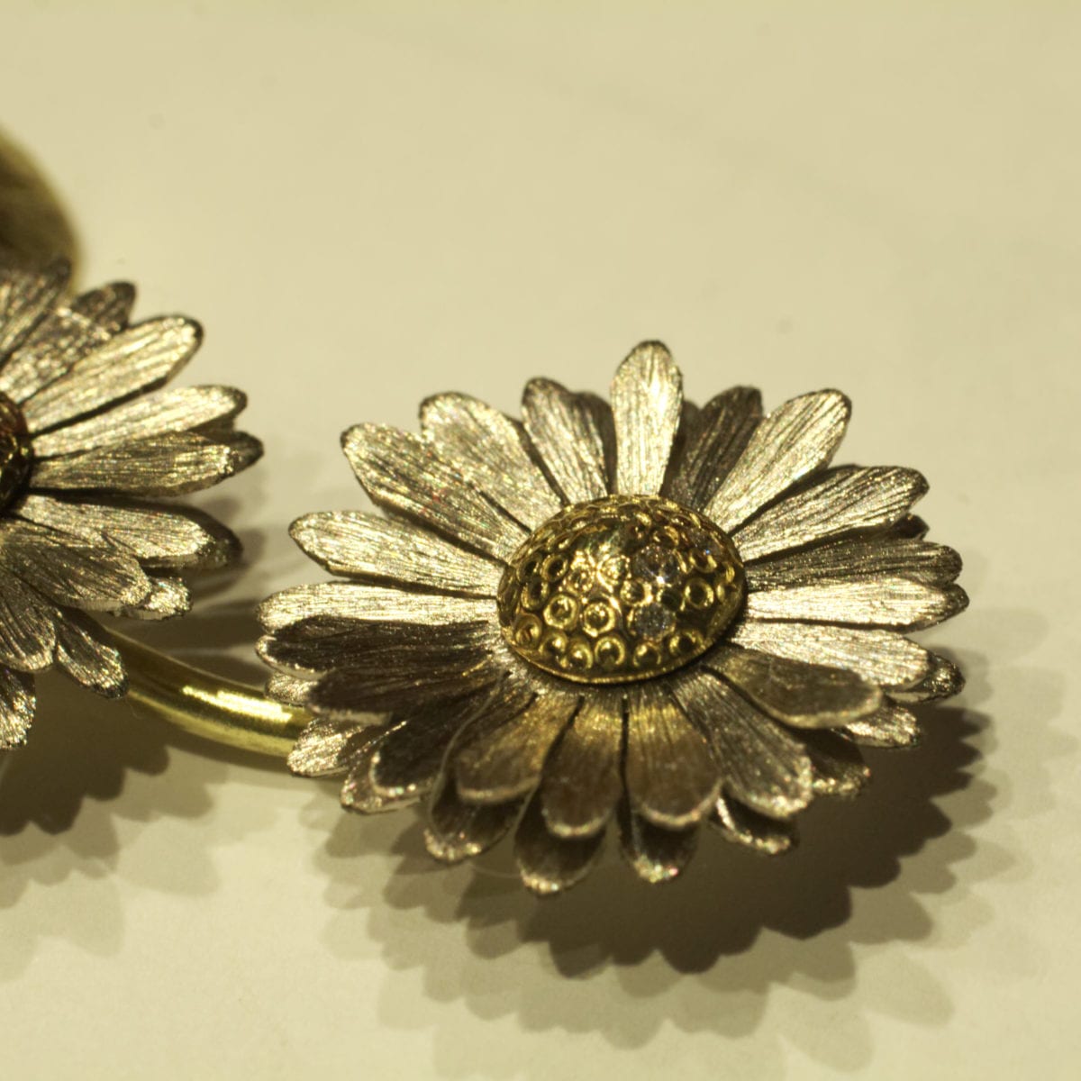 Gänseblümchen – Bild 4