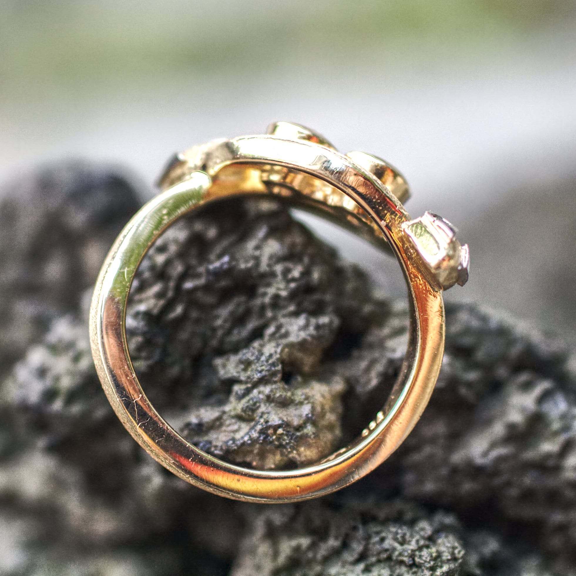 Zwei Schlangen – Bild 8