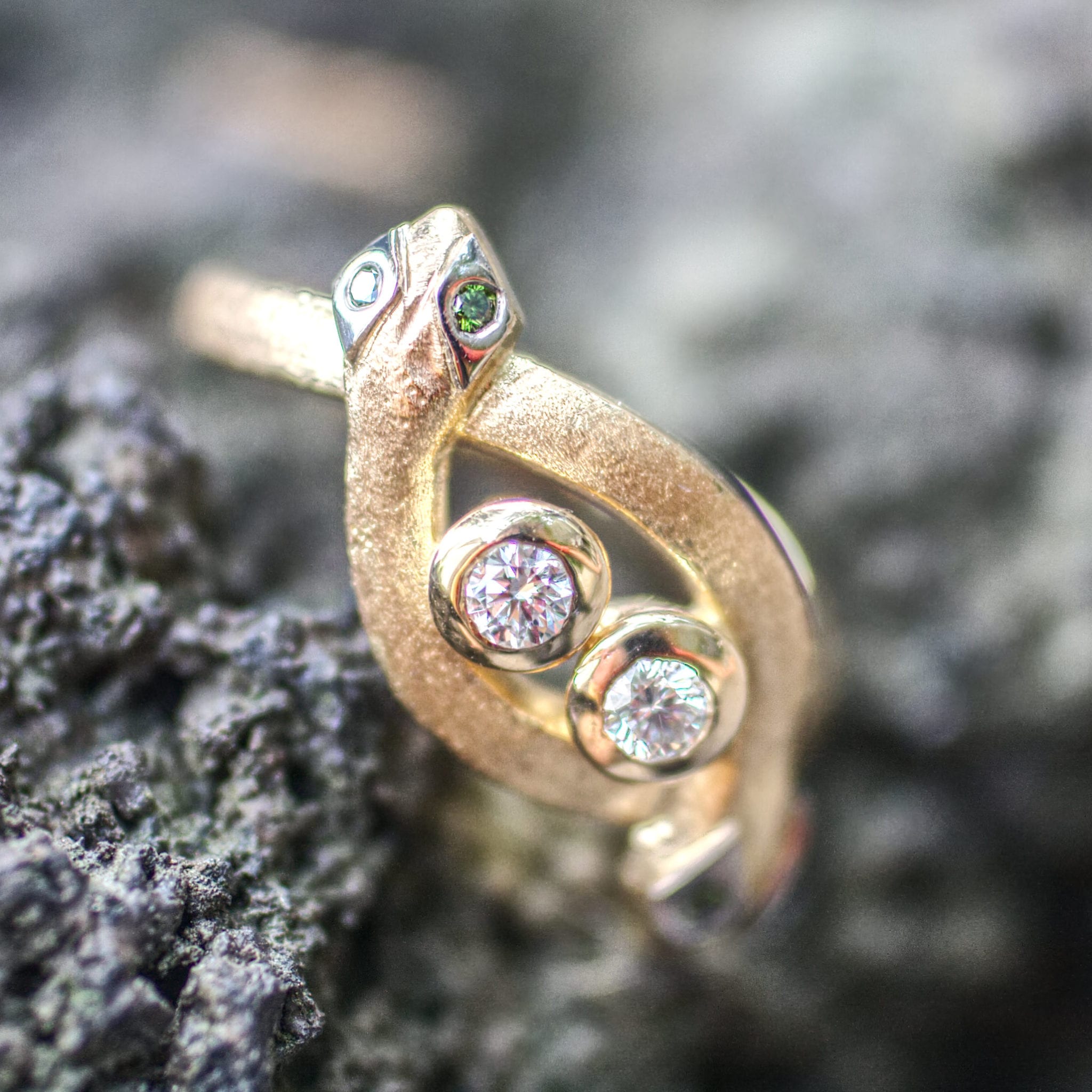 Zwei Schlangen – Bild 5