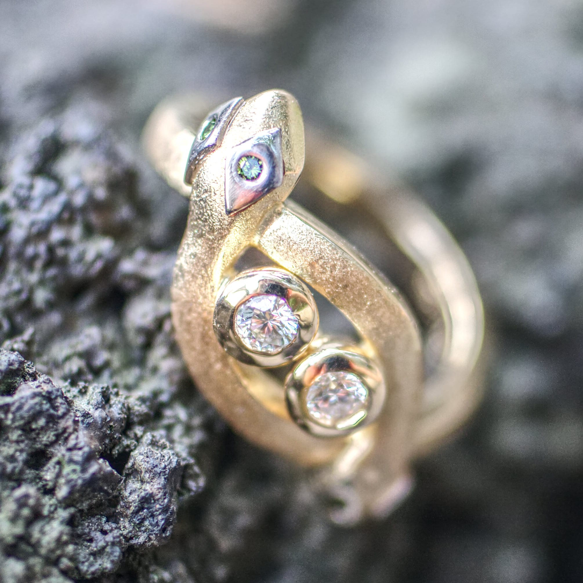 Zwei Schlangen – Bild 4