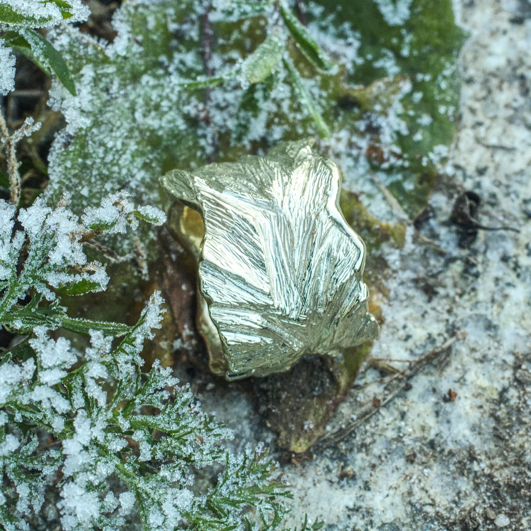 Goldring Blattstruktur – Bild 9