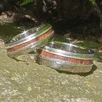 Silberringe mit eingefasstem versteinerten Holz