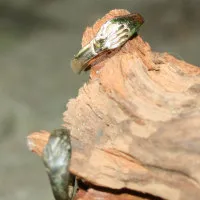 historischer Freundschaftsring Freundschaftsring aus Bronze