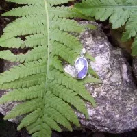 Ginkoblatt mit Mondstein