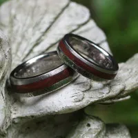 Palladiumringe mit versteinertem Holz