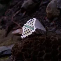 August der Starke August der Starke von Sachsen