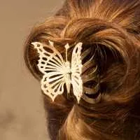 Silberklammer Schmetterling