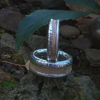 Eheringe mit versteinertem Holz