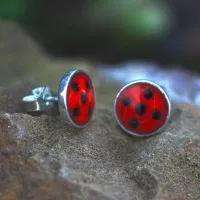 Marienkäfer Lady Bug Ohrstecker Ohrstecker Marienkäfer