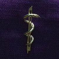 Geigenbogen mit Aeskulabnatter