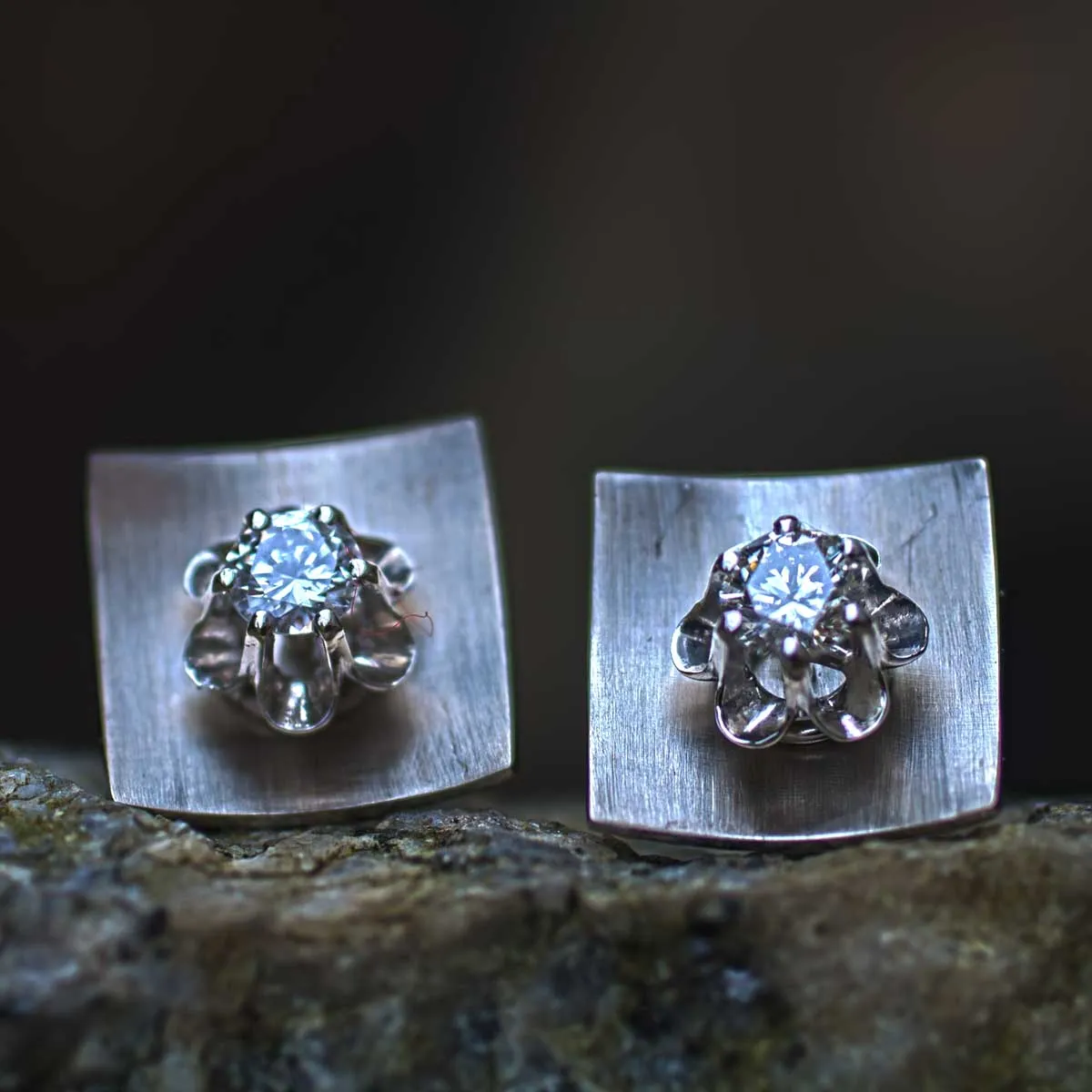 Brillantblume am Quadrat 4 Brillantblume am Quadrat