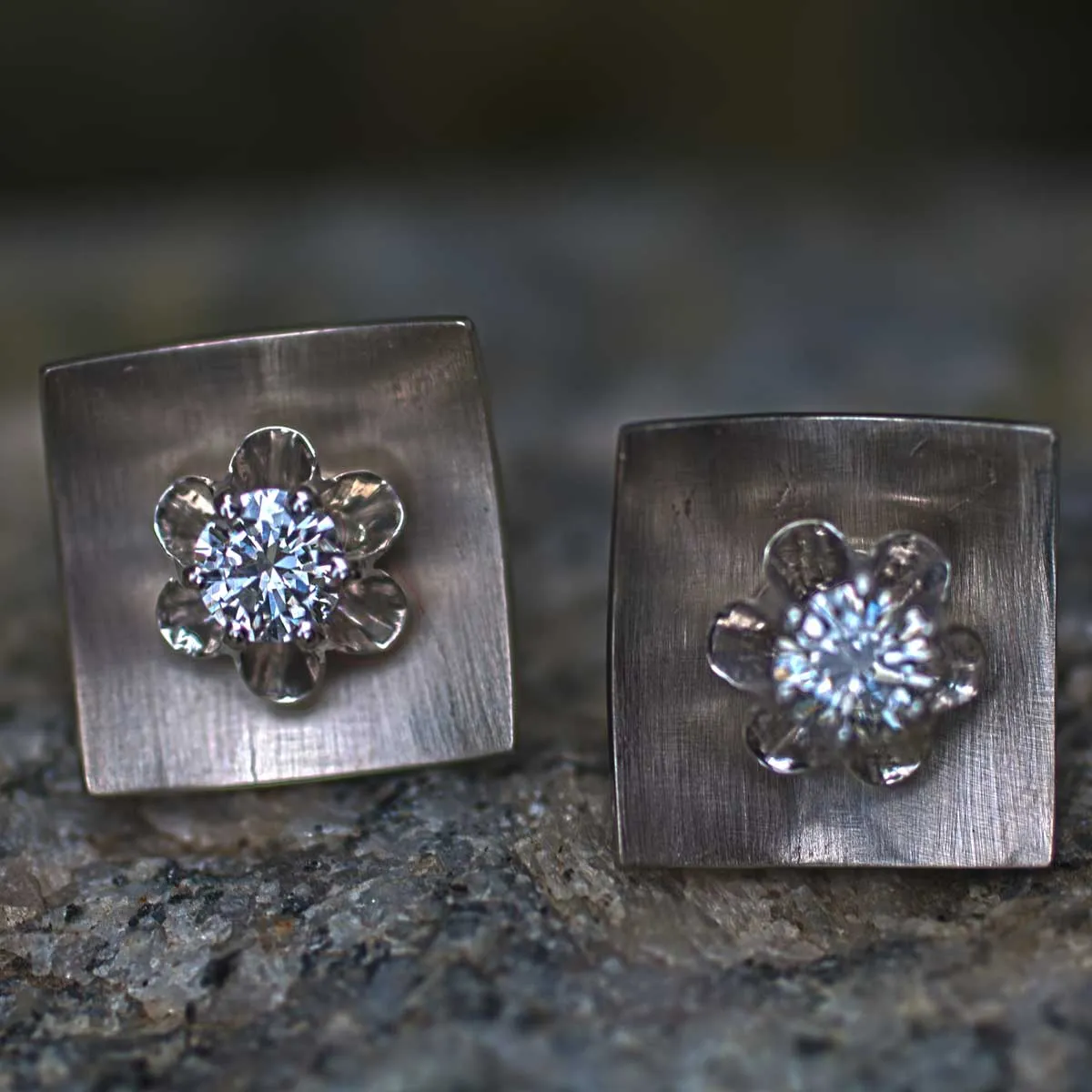 Brillantblume am Quadrat 3 Brillantblume am Quadrat