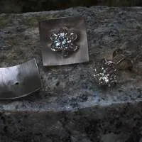 Brillantblume am Quadrat