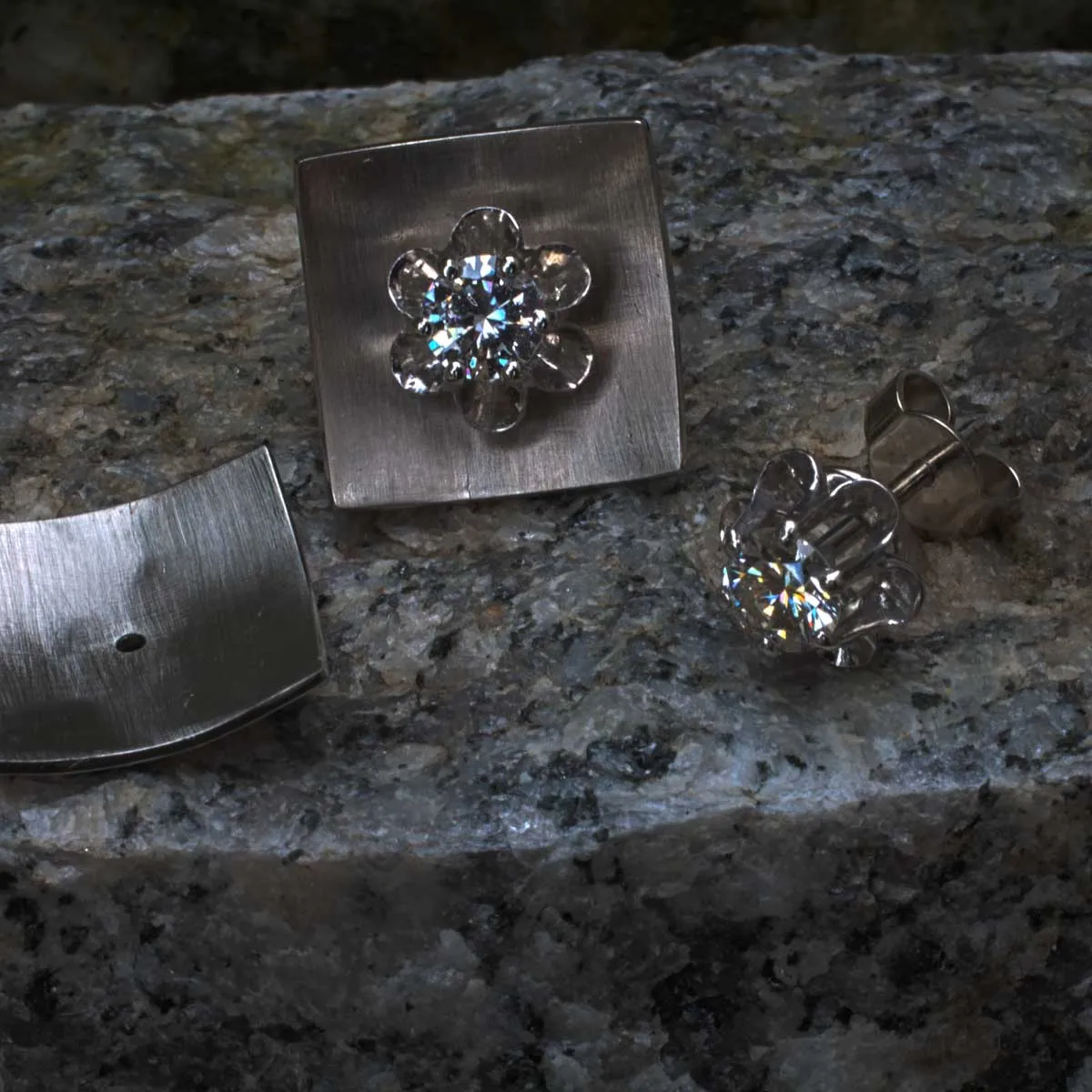 Brillantblume am Quadrat Brillantblume am Quadrat