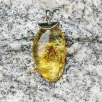 Bernstein mit Insekteneinschluß