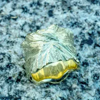 Goldring Blattstruktur