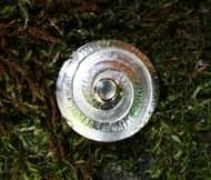 Brosche Mondsteinspirale