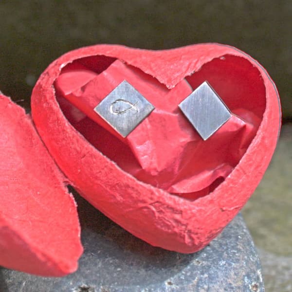 Fischohrstecker