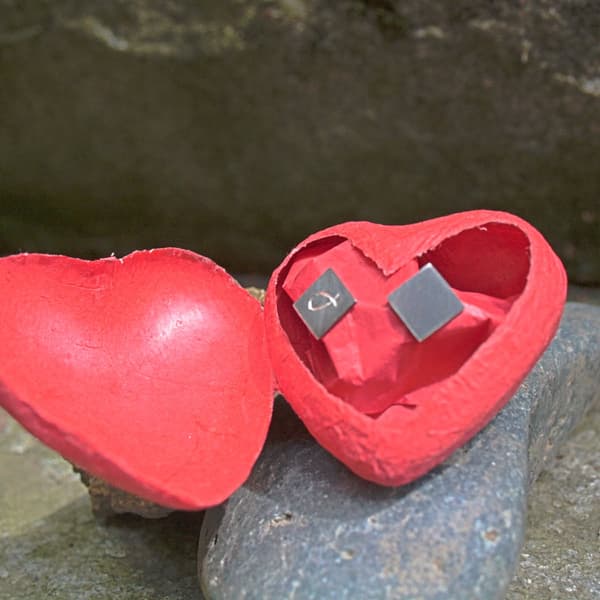 Fischohrstecker