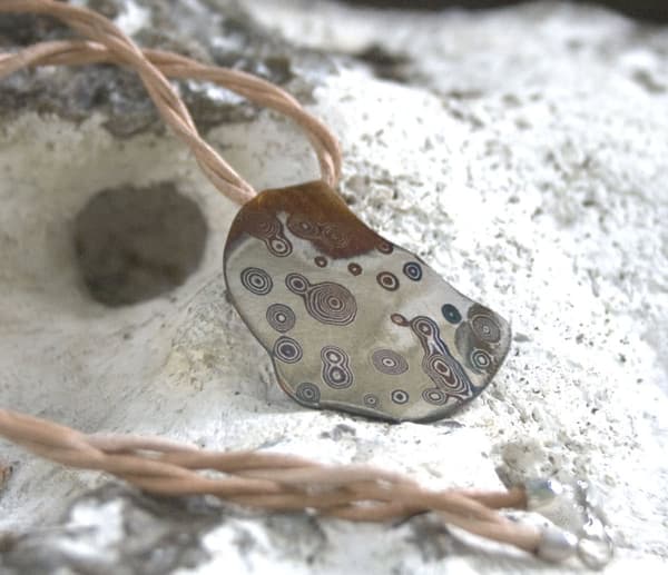 Mokumegane Baumschwamm
