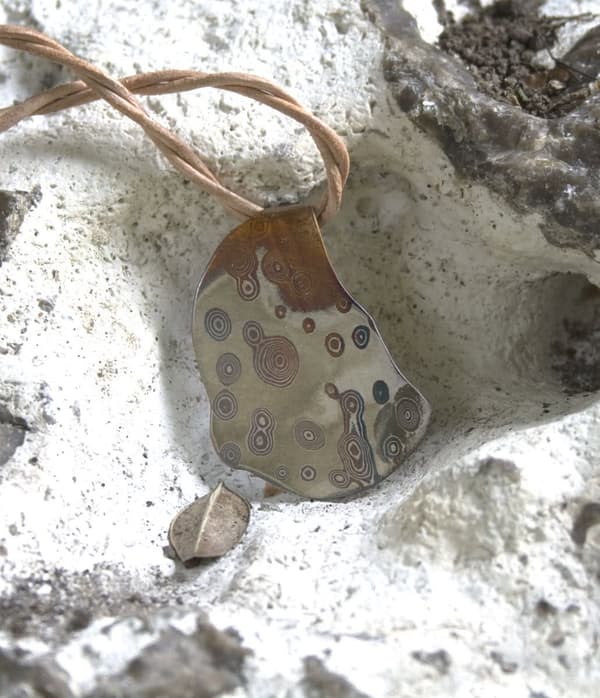 Mokumegane Baumschwamm