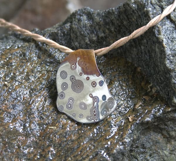 Mokumegane Baumschwamm