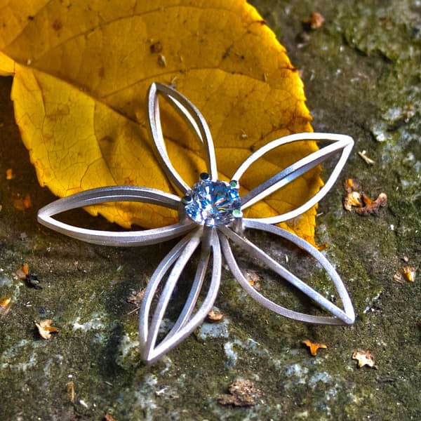 Sternblüte