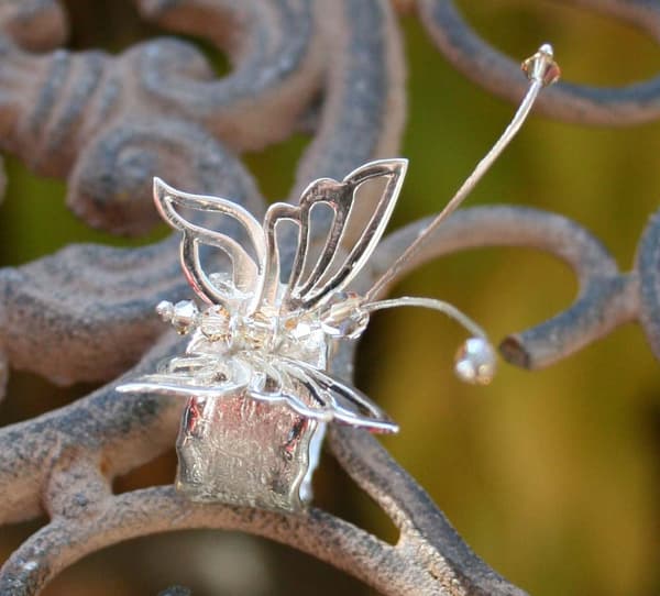 Schmetterling