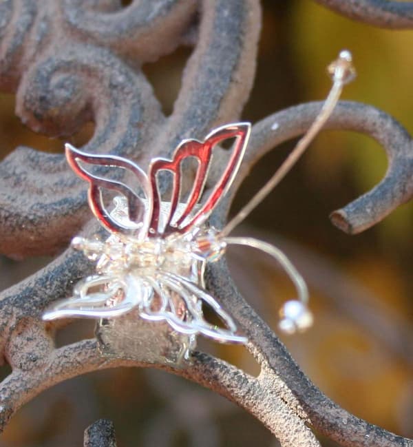 Schmetterling
