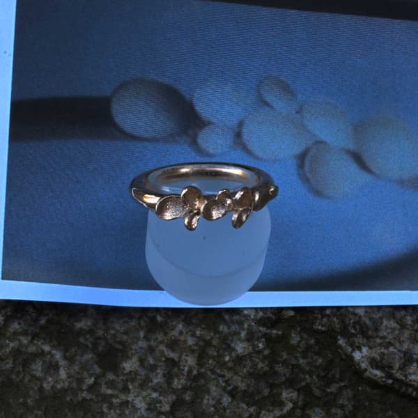 Ring Plättchen