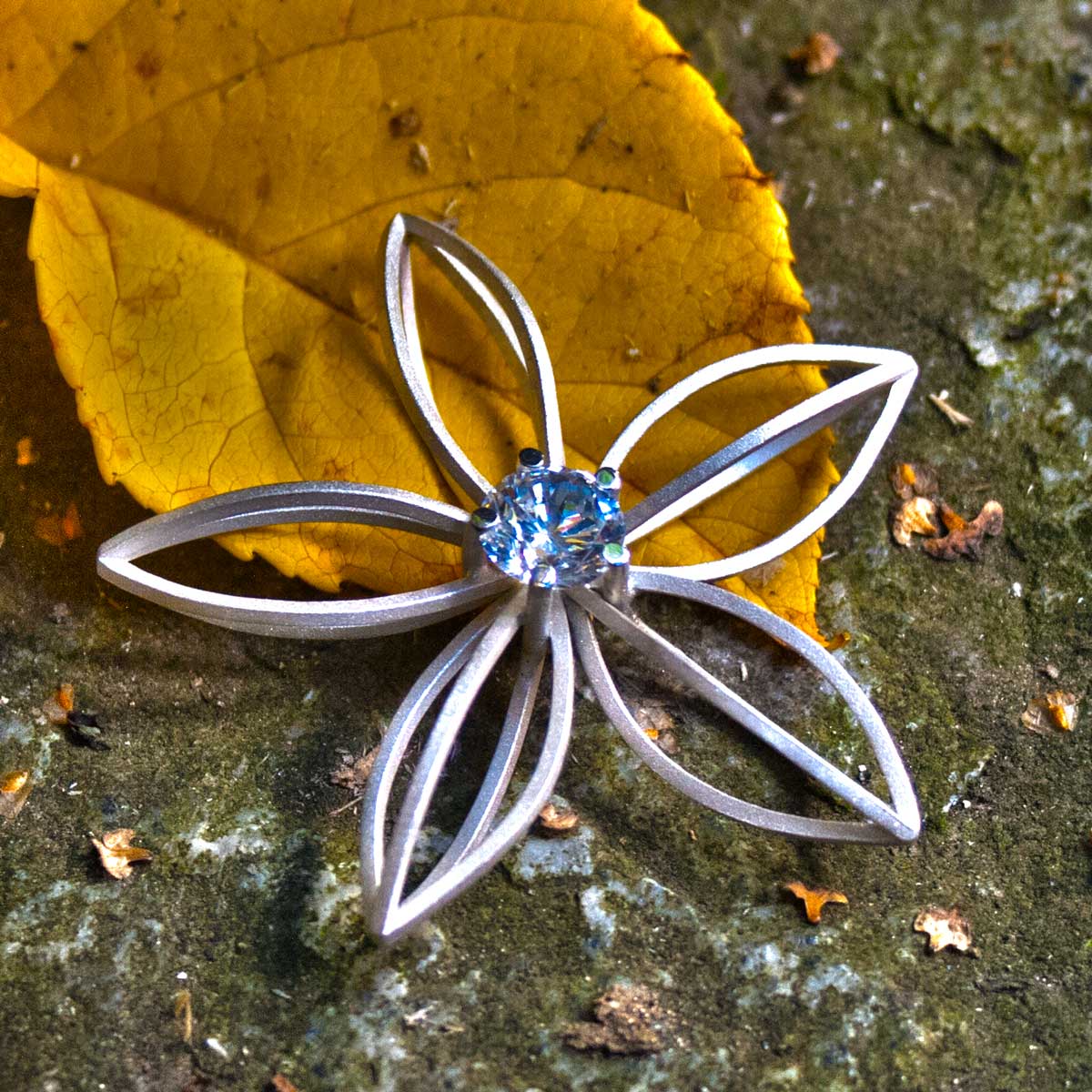 Sternblüte