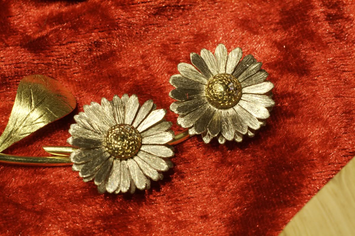 Gänseblümchen – Bild 17
