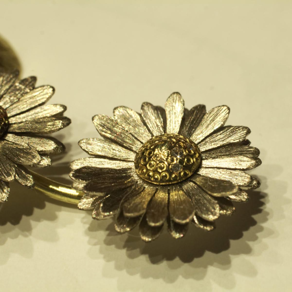 Gänseblümchen – Bild 4