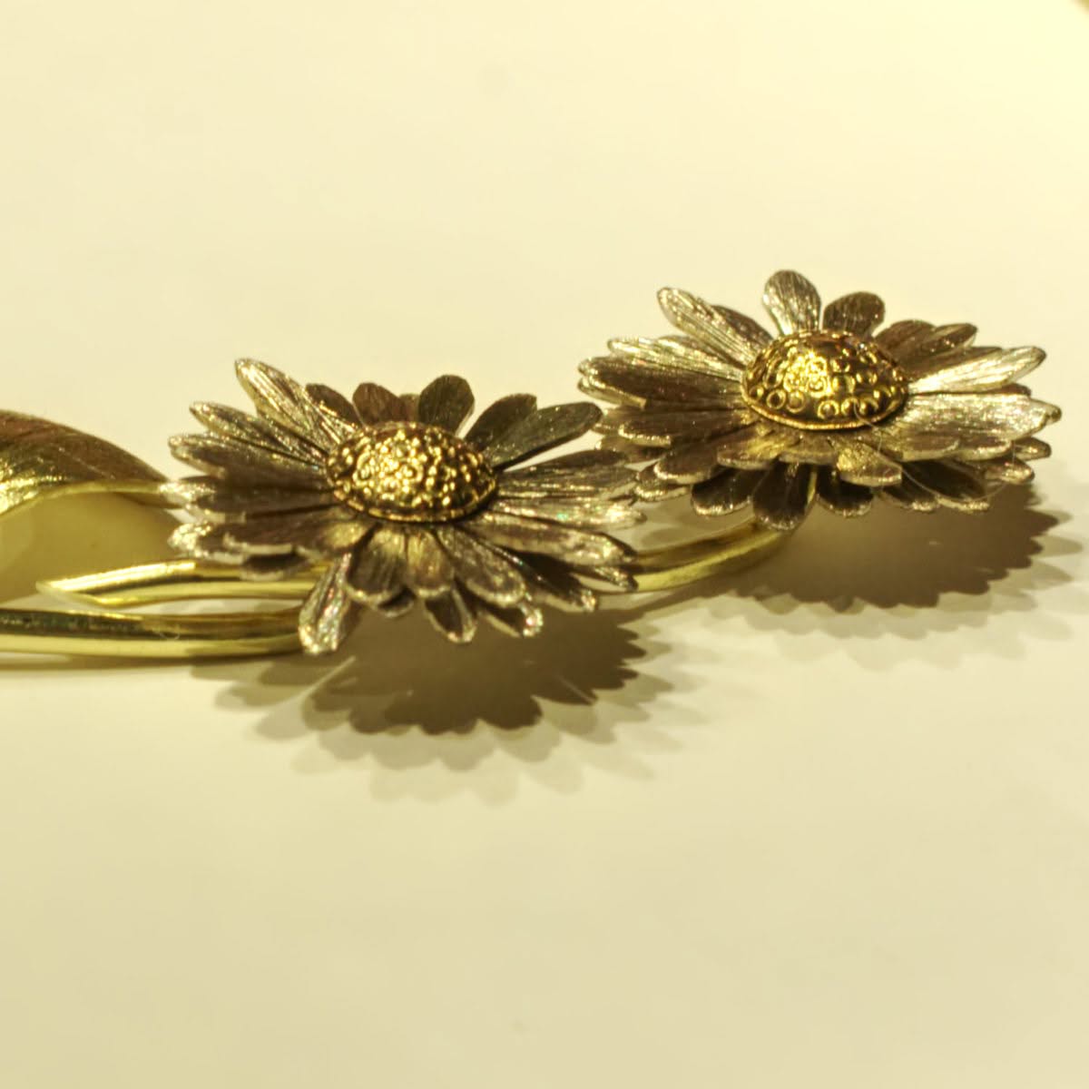 Gänseblümchen – Bild 2